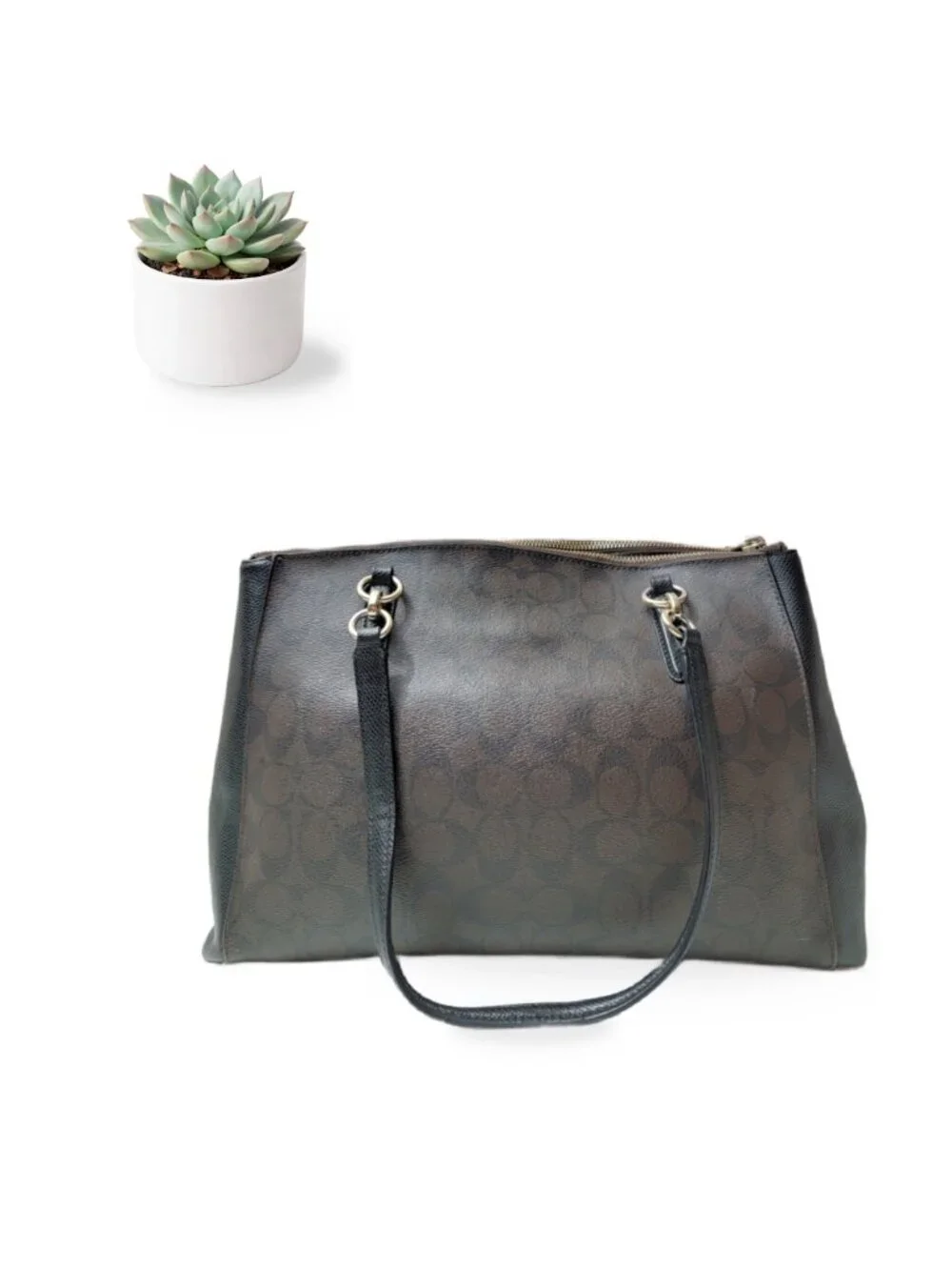Coach christie carryall